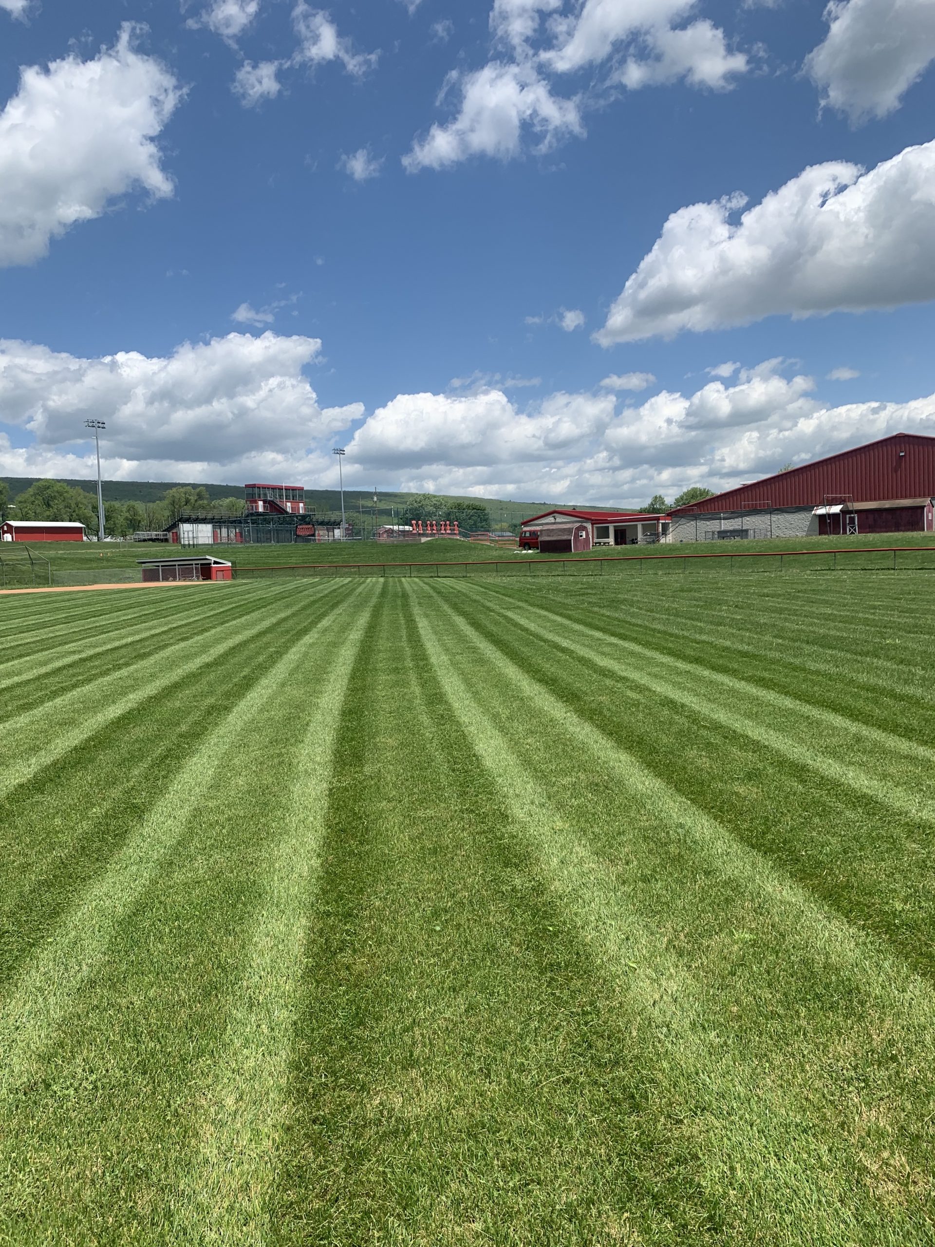 Fresh Cut Lawn