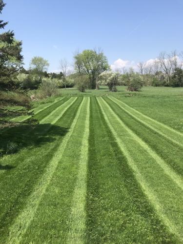 Lawn Care
