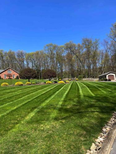 Lawn Care