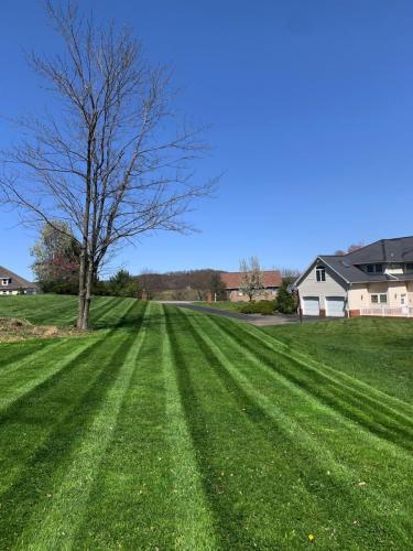 Lawn Care
