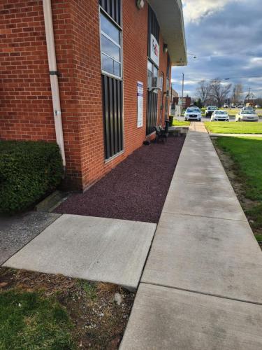 Lawn Cleanup