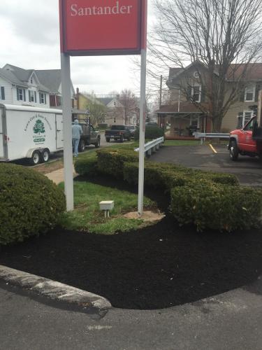Spring Cleanup
